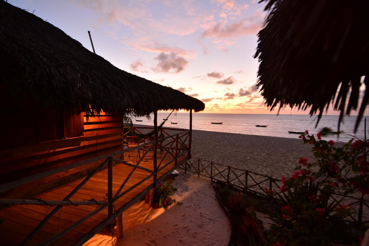 Bungalow Beach Front,517073751:JPEG